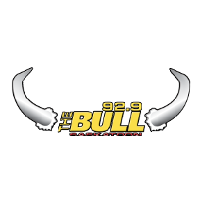 the-bull-1