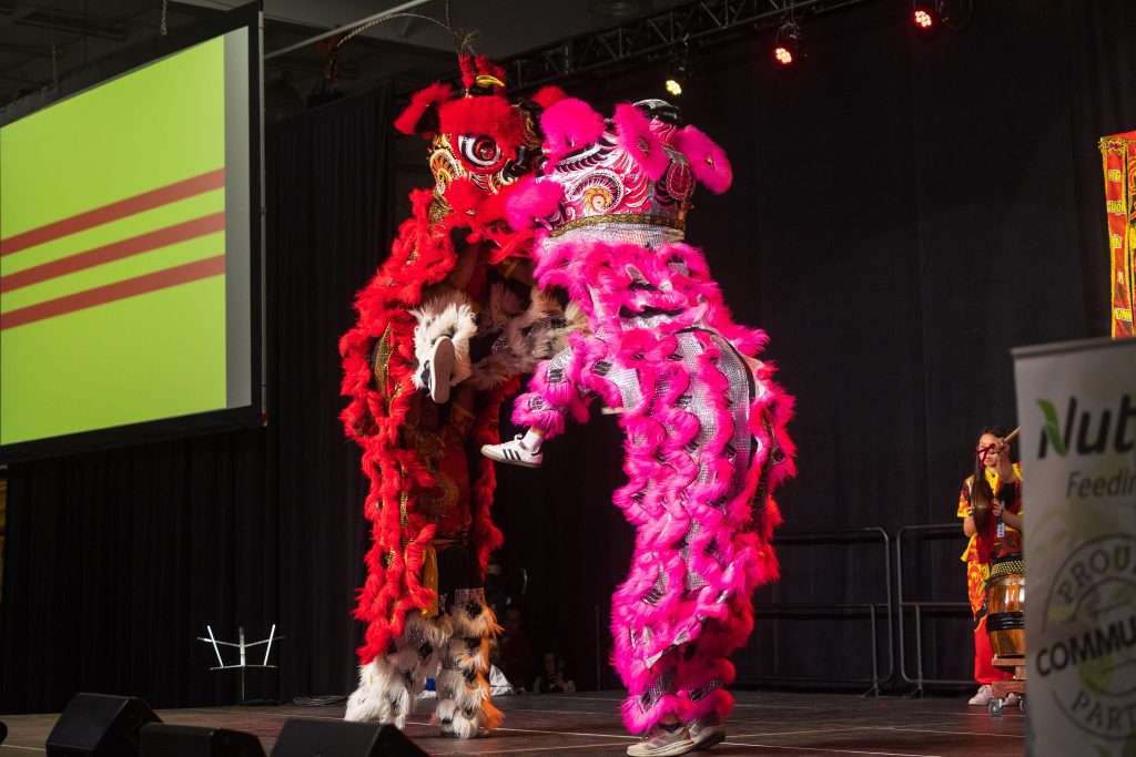 David Stobbe / Stobbe Photo